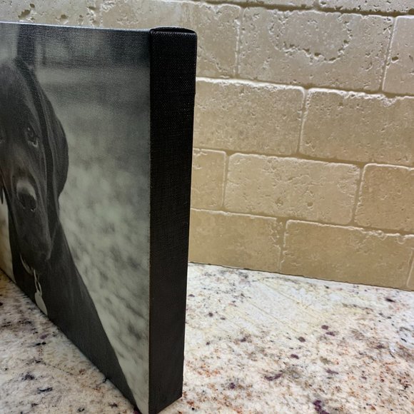 Black Lab puppy canvas artwork - Picture 3 of 6